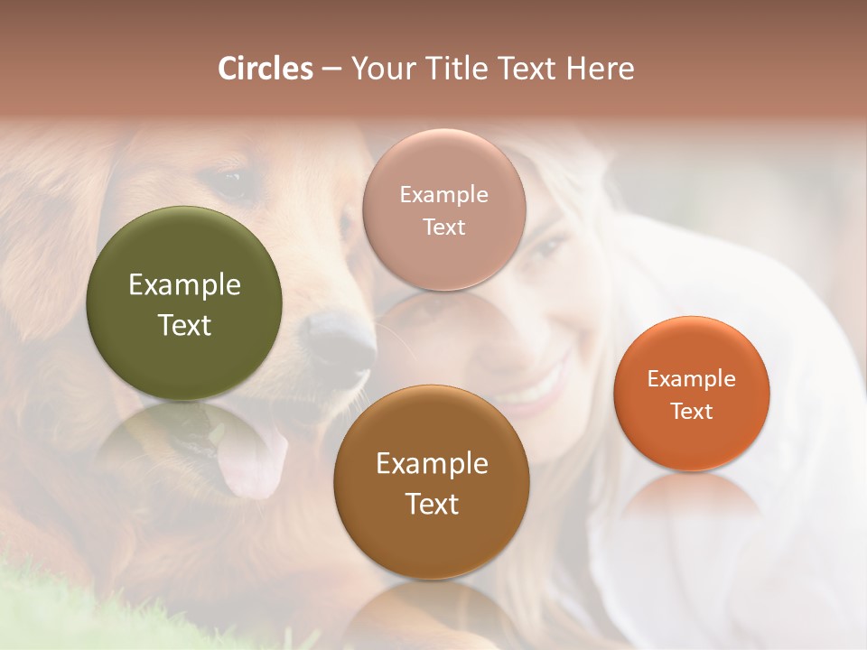 Animal Female Attractive PowerPoint Template