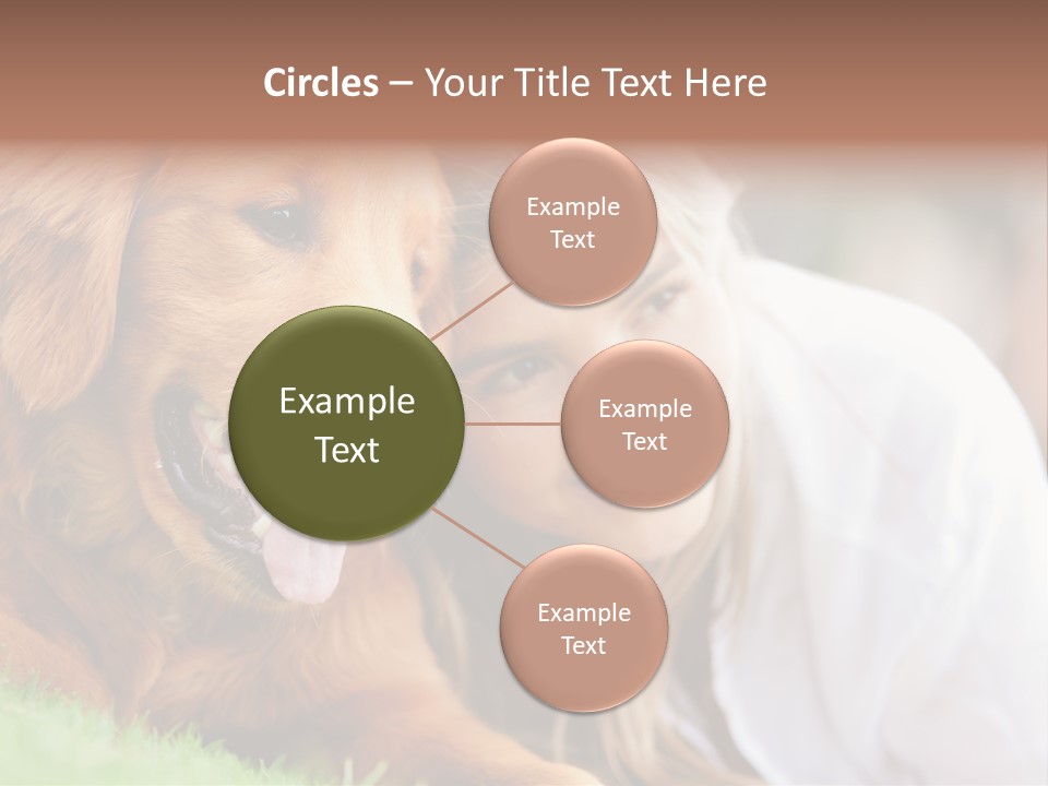 Animal Female Attractive PowerPoint Template