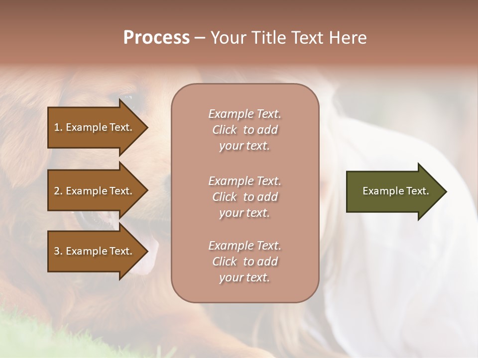 Animal Female Attractive PowerPoint Template