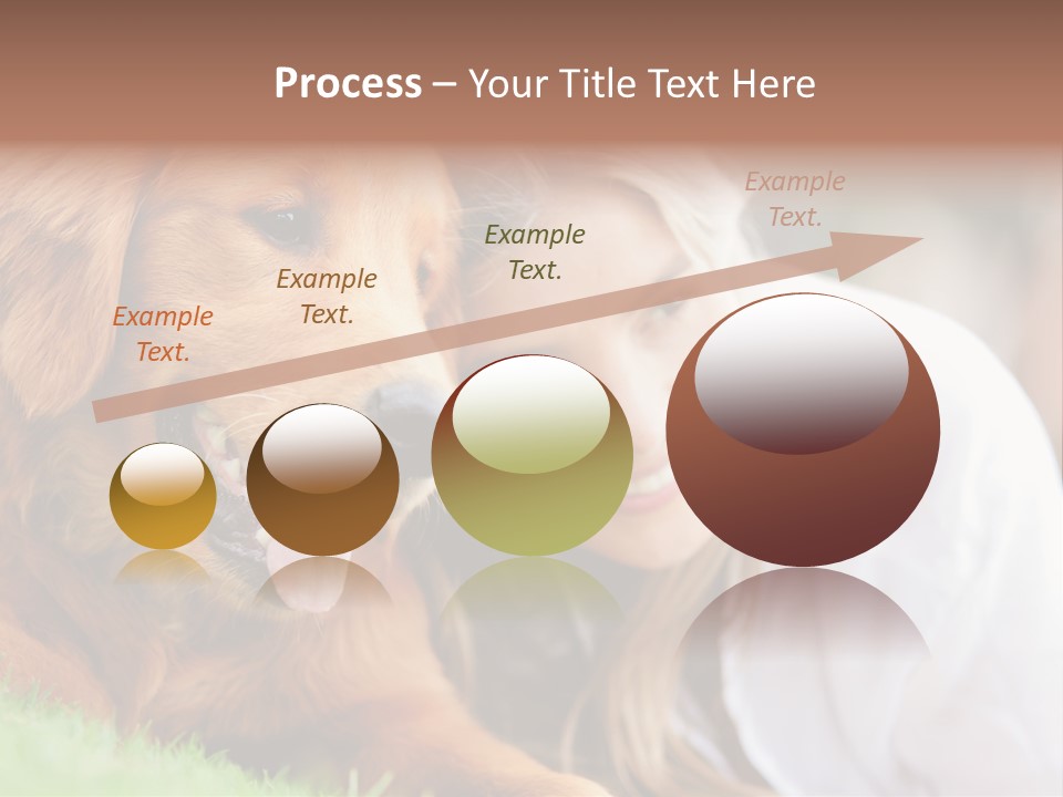 Animal Female Attractive PowerPoint Template