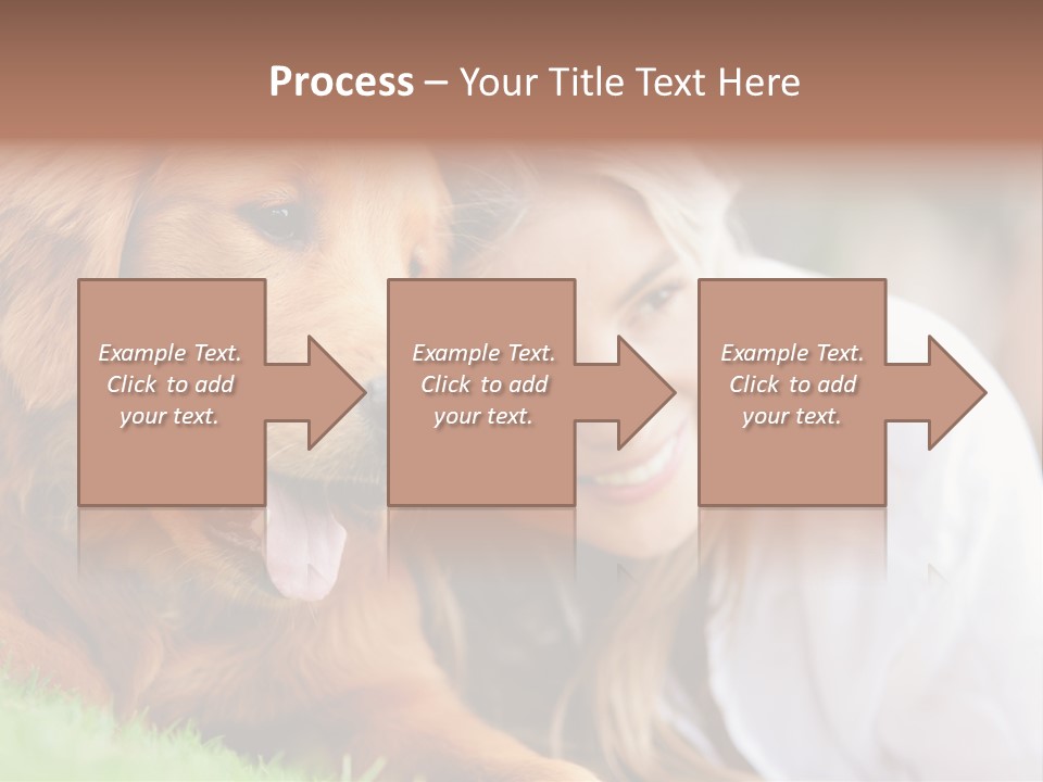 Animal Female Attractive PowerPoint Template