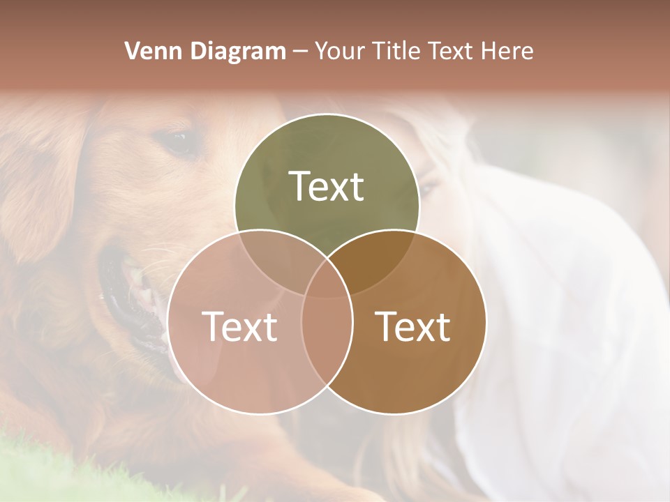 Animal Female Attractive PowerPoint Template