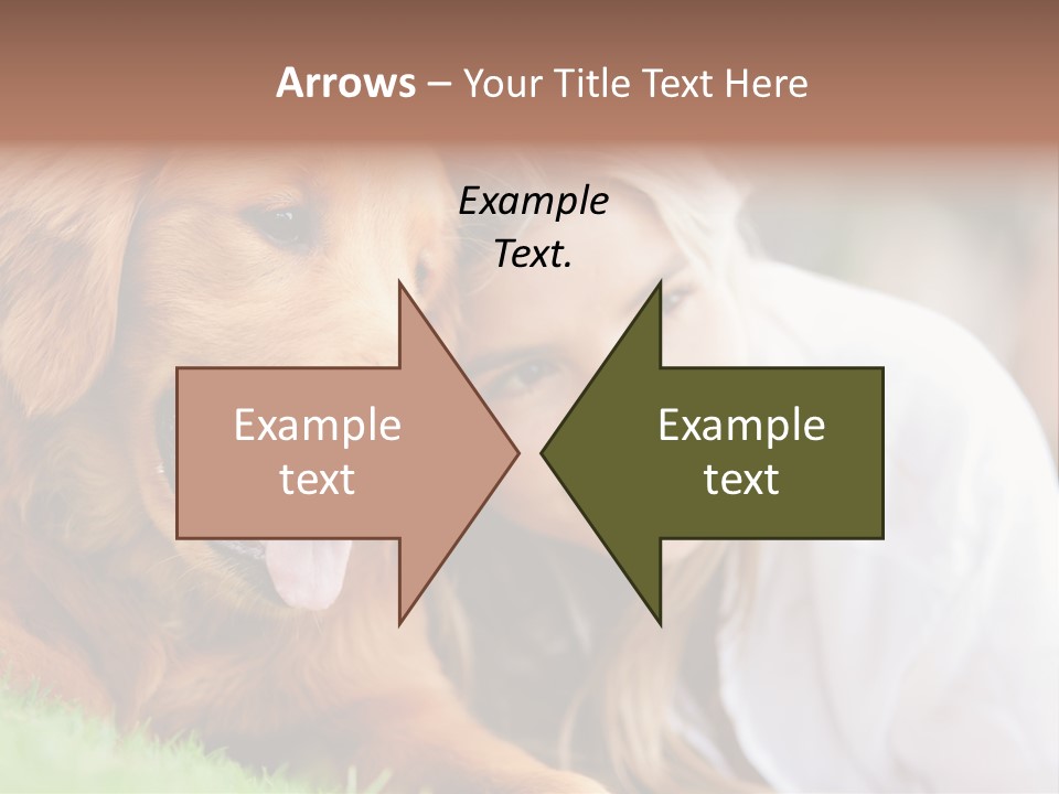 Animal Female Attractive PowerPoint Template