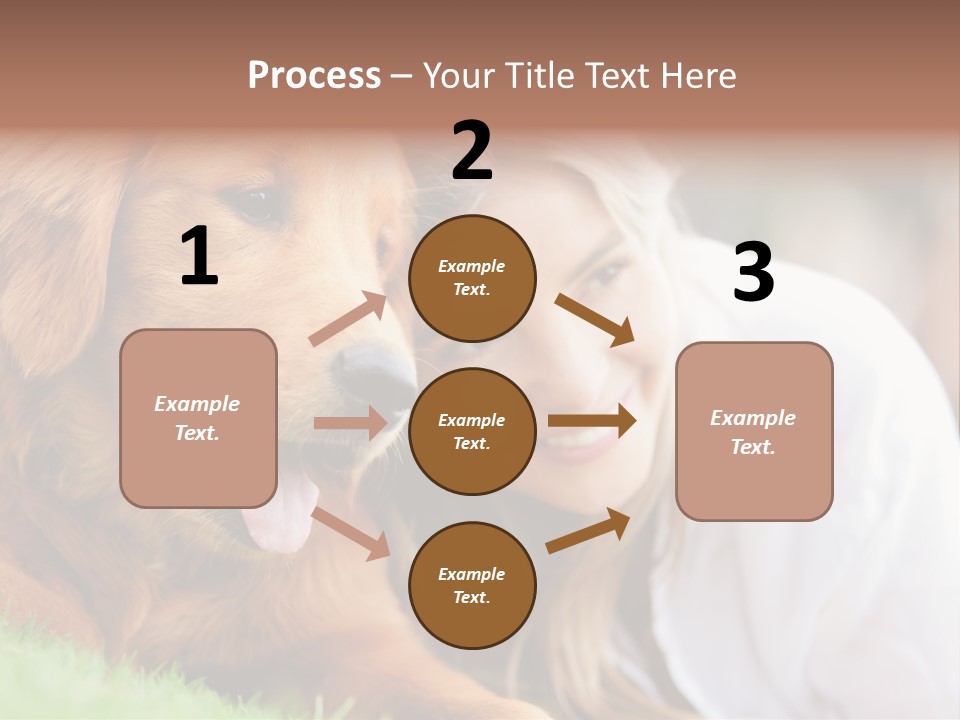 Animal Female Attractive PowerPoint Template