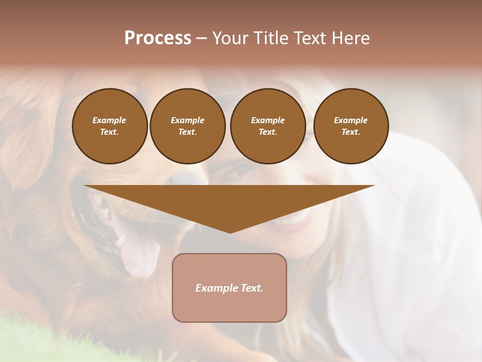 Animal Female Attractive PowerPoint Template