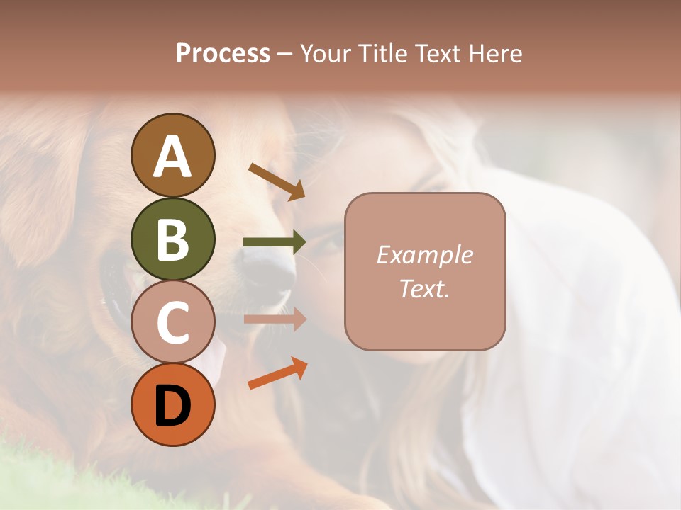 Animal Female Attractive PowerPoint Template