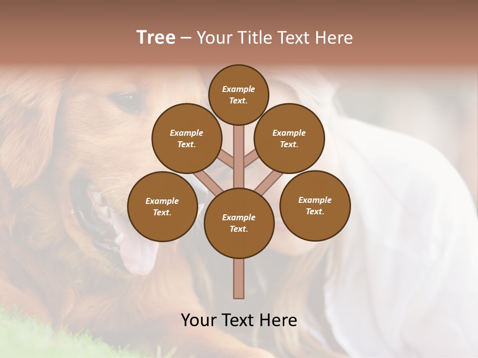 Animal Female Attractive PowerPoint Template