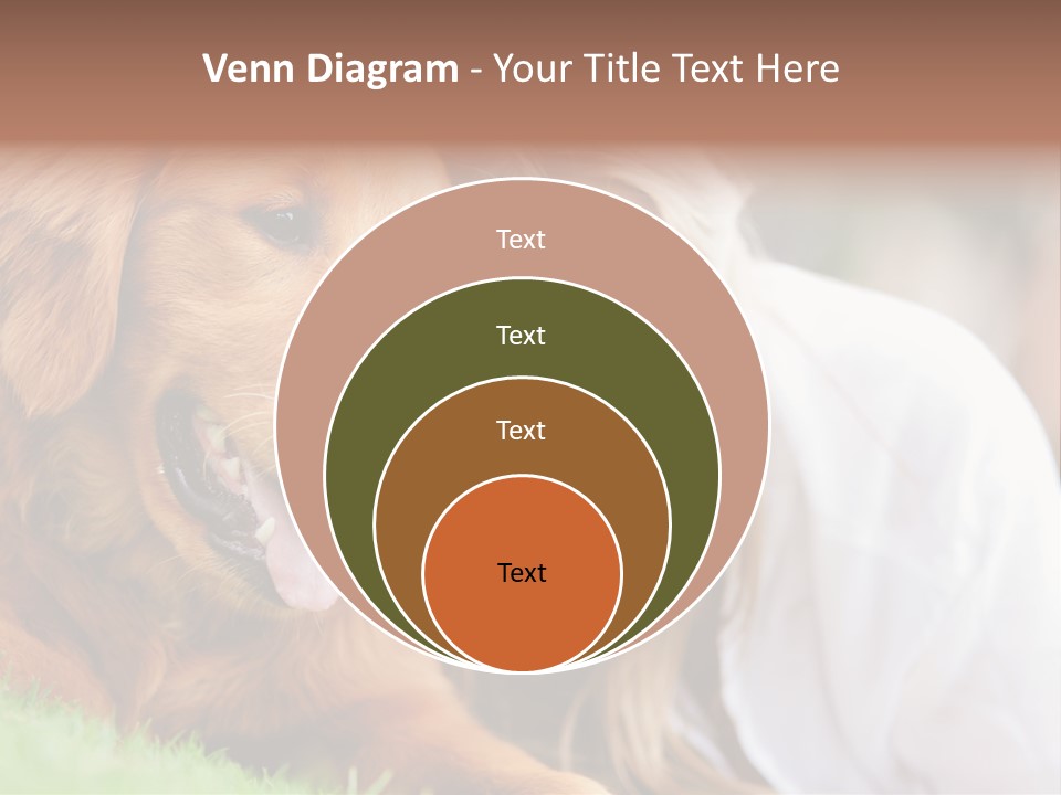 Animal Female Attractive PowerPoint Template