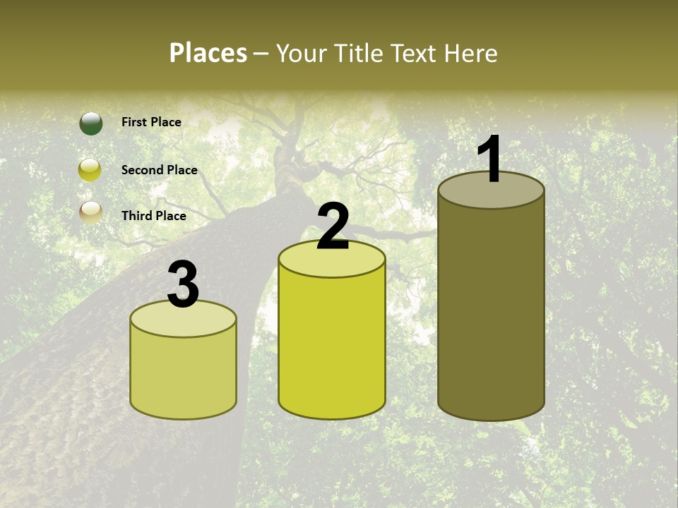Trailway Landscape Color PowerPoint Template