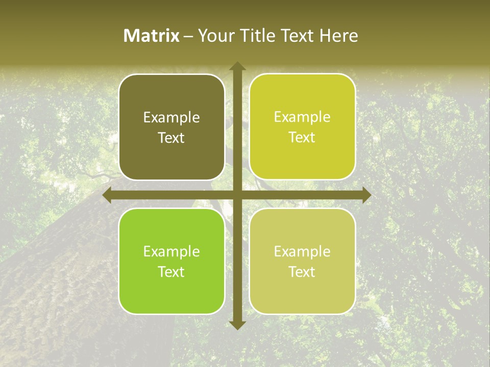 Trailway Landscape Color PowerPoint Template