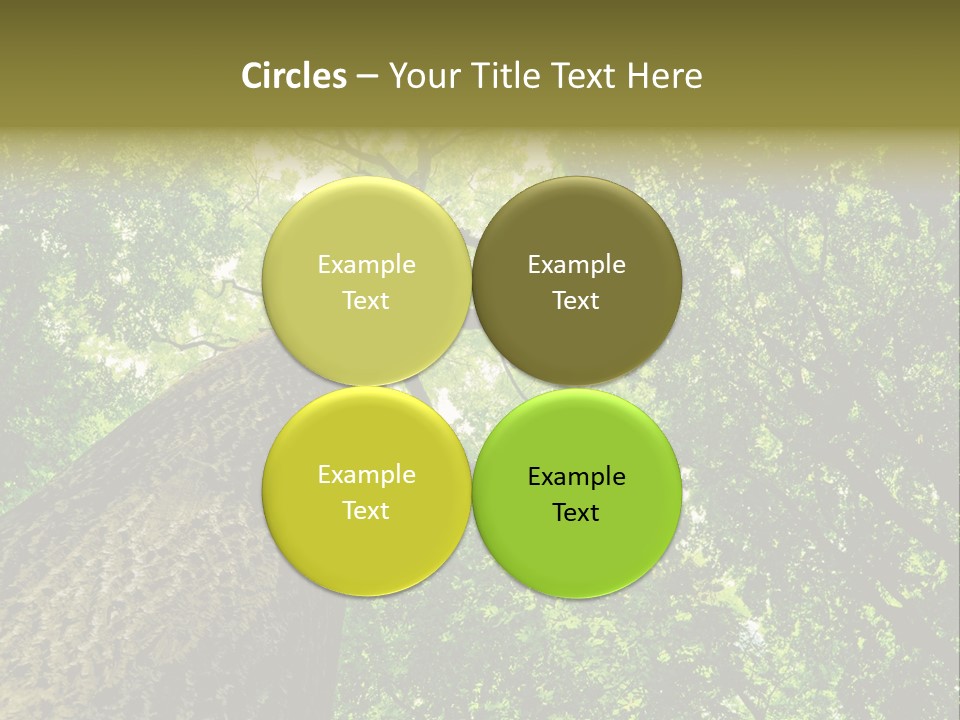 Trailway Landscape Color PowerPoint Template