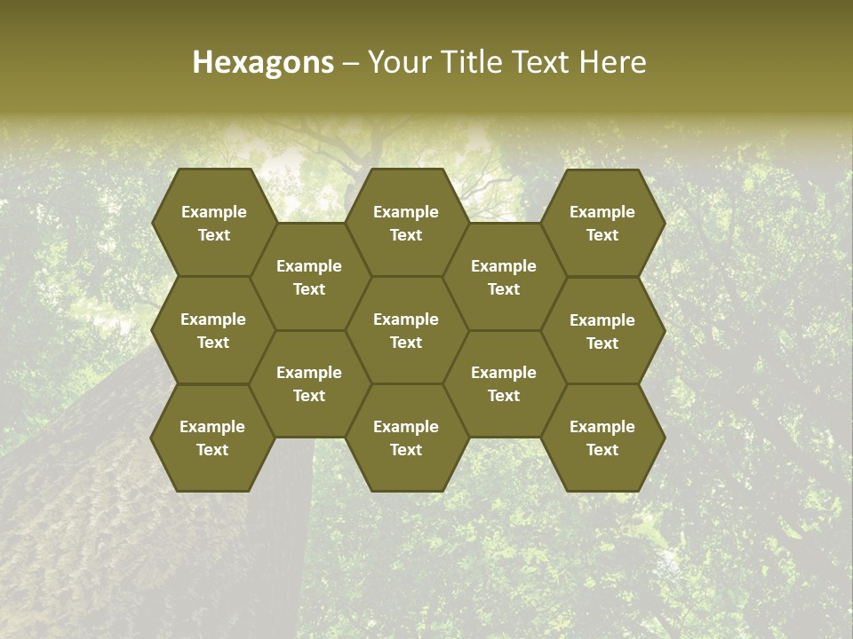 Trailway Landscape Color PowerPoint Template