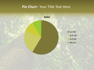 Trailway Landscape Color PowerPoint Template