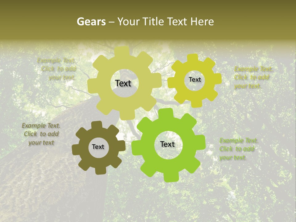 Trailway Landscape Color PowerPoint Template