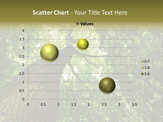 Trailway Landscape Color PowerPoint Template