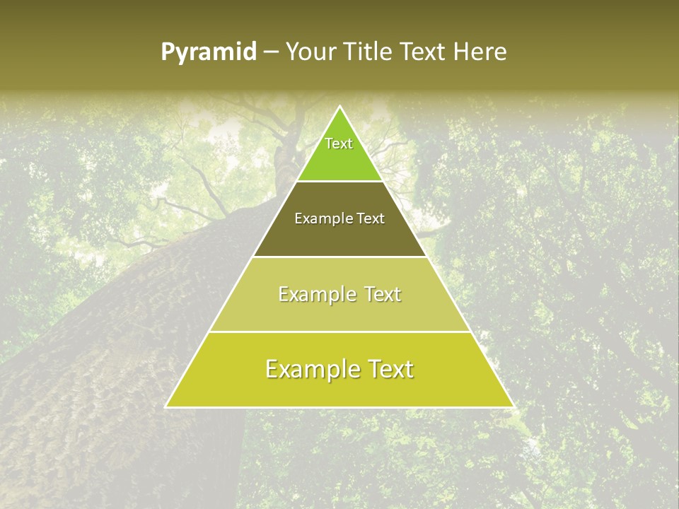 Trailway Landscape Color PowerPoint Template