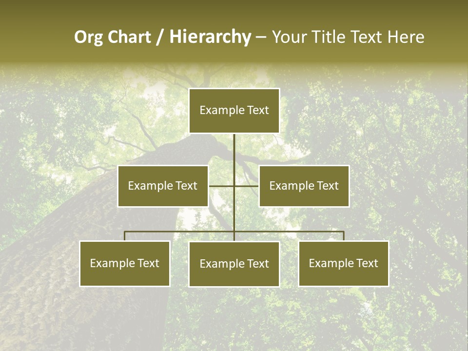 Trailway Landscape Color PowerPoint Template