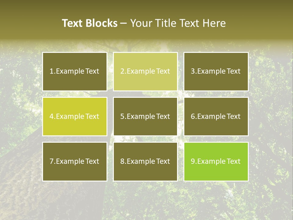 Trailway Landscape Color PowerPoint Template