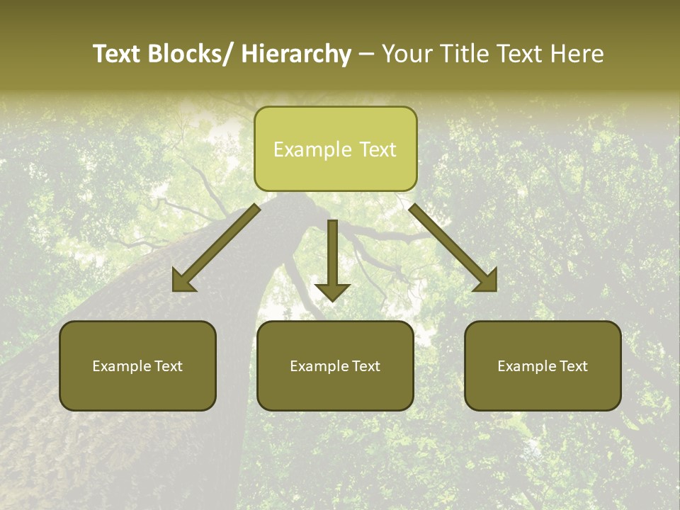 Trailway Landscape Color PowerPoint Template