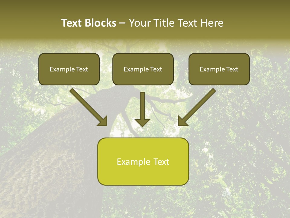 Trailway Landscape Color PowerPoint Template