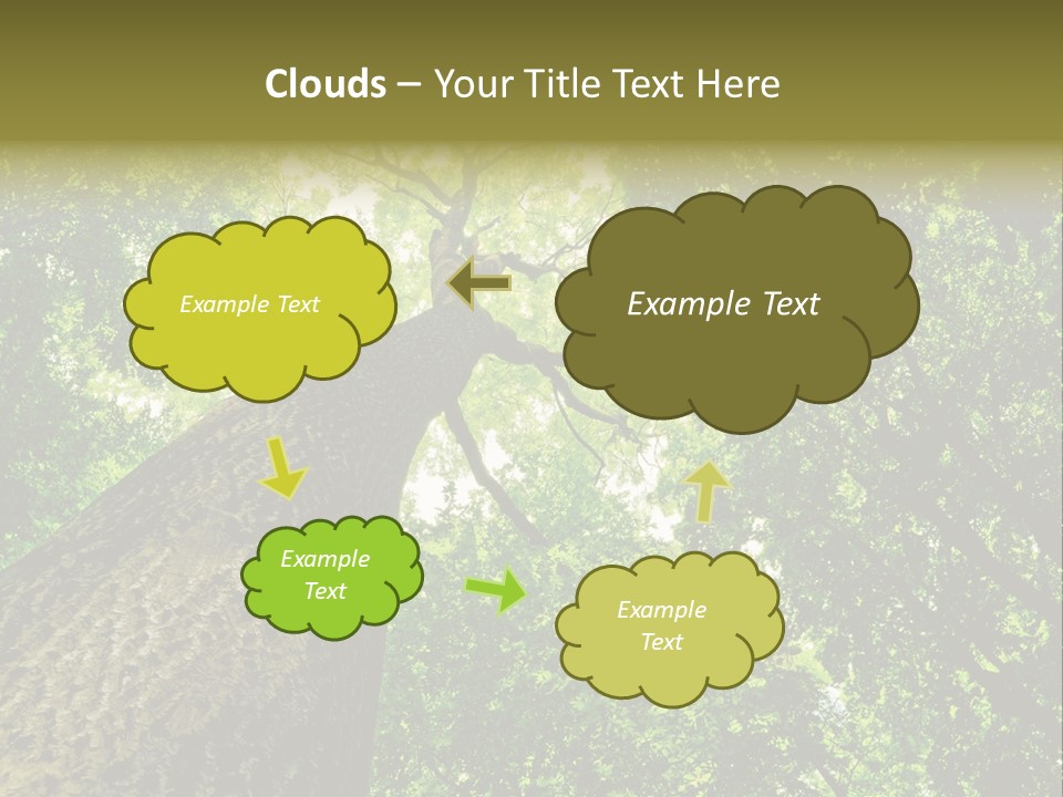 Trailway Landscape Color PowerPoint Template