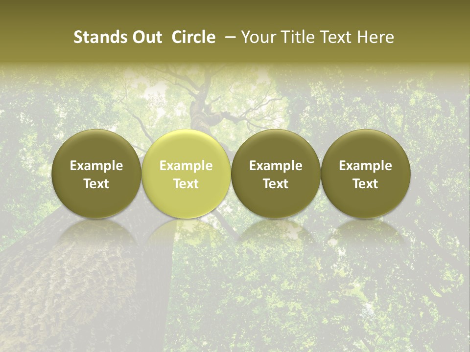 Trailway Landscape Color PowerPoint Template