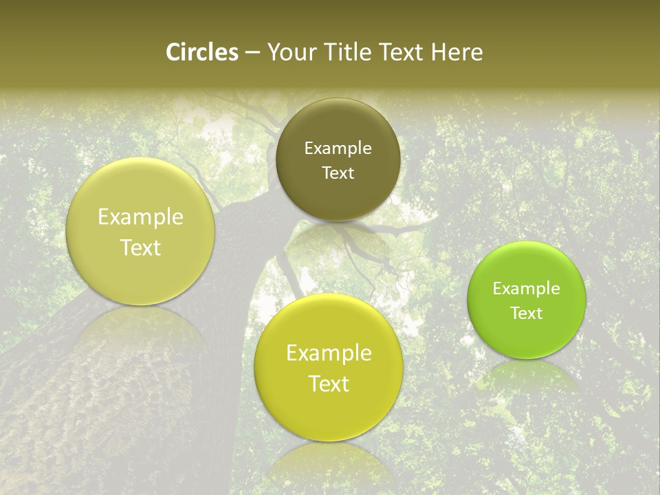 Trailway Landscape Color PowerPoint Template