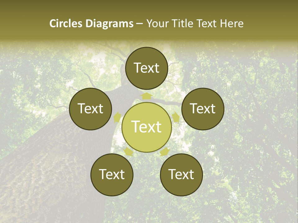 Trailway Landscape Color PowerPoint Template