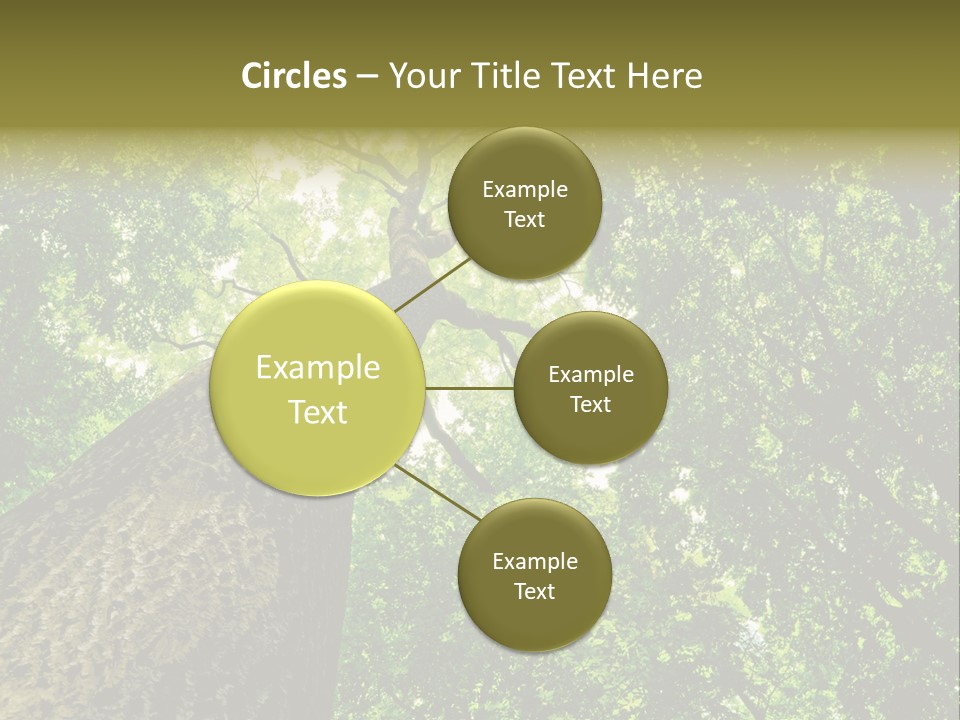 Trailway Landscape Color PowerPoint Template