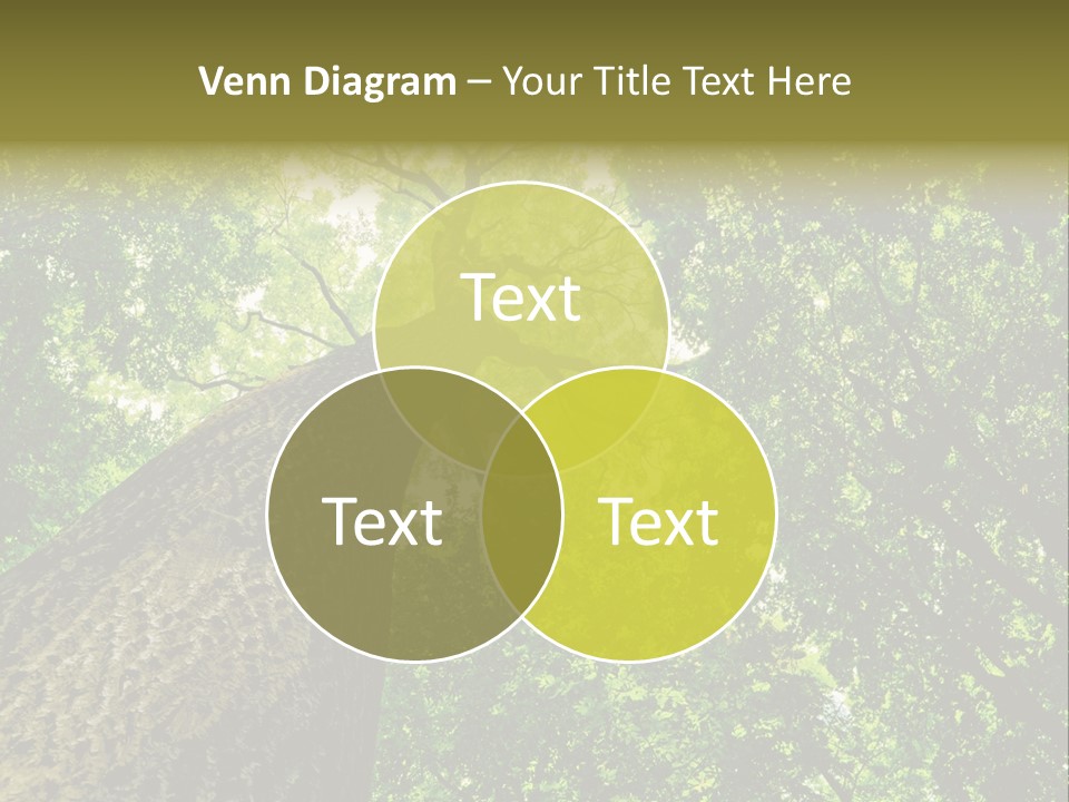 Trailway Landscape Color PowerPoint Template