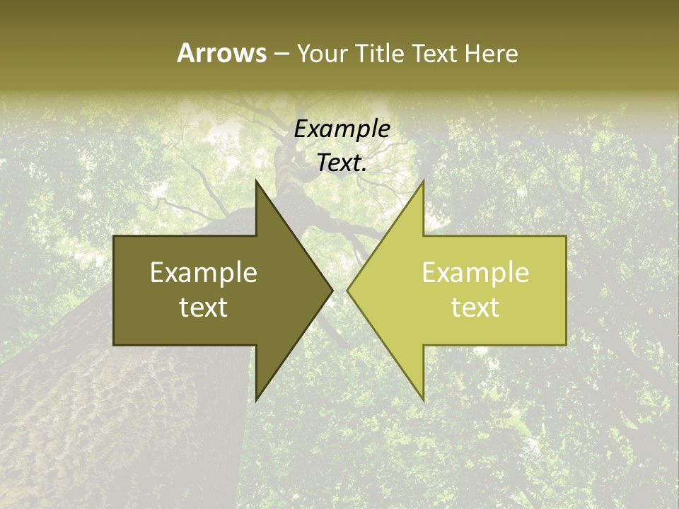 Trailway Landscape Color PowerPoint Template