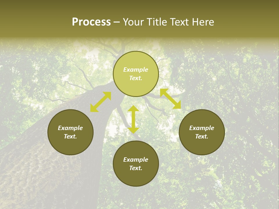 Trailway Landscape Color PowerPoint Template