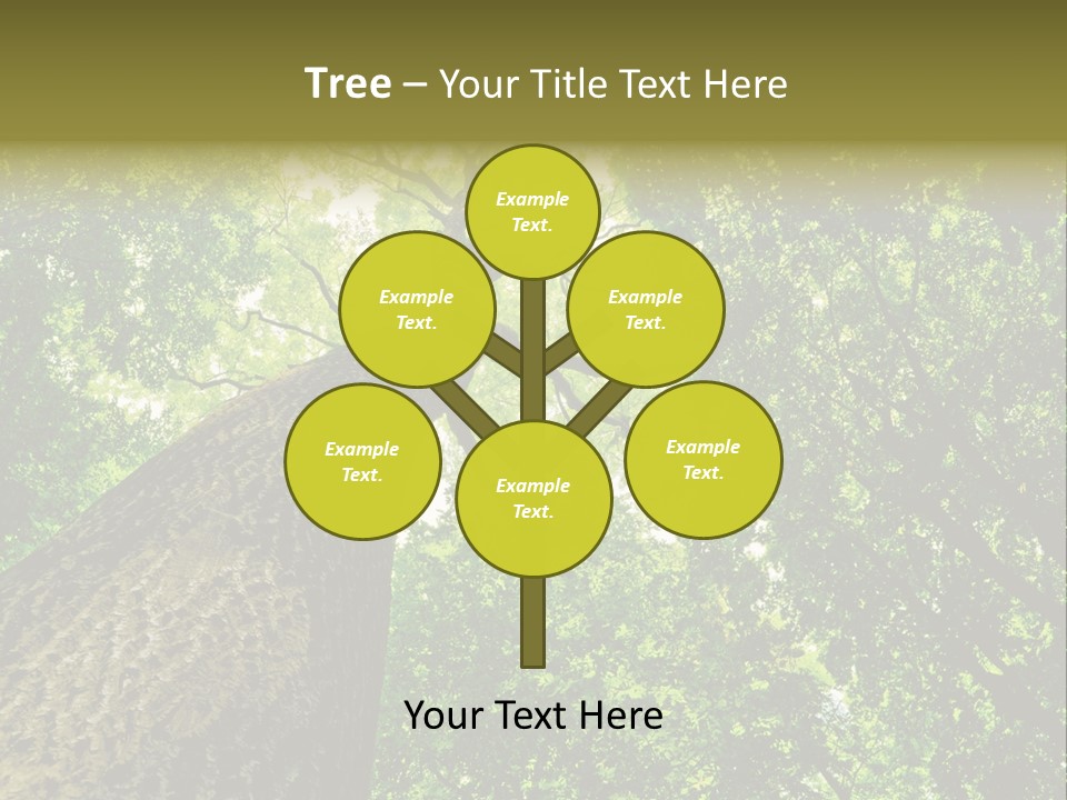 Trailway Landscape Color PowerPoint Template