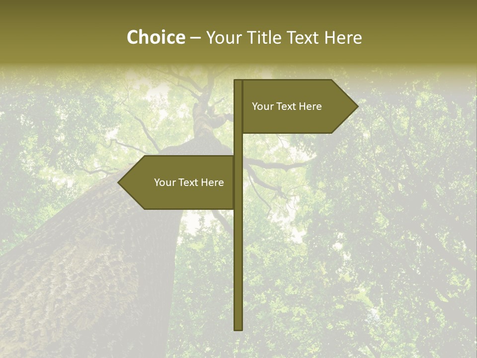 Trailway Landscape Color PowerPoint Template