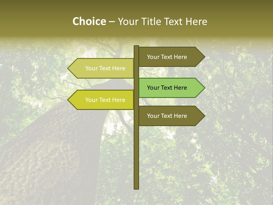 Trailway Landscape Color PowerPoint Template