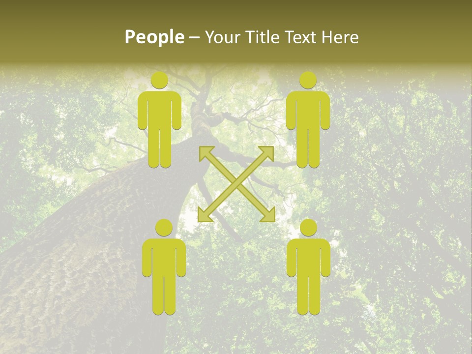 Trailway Landscape Color PowerPoint Template