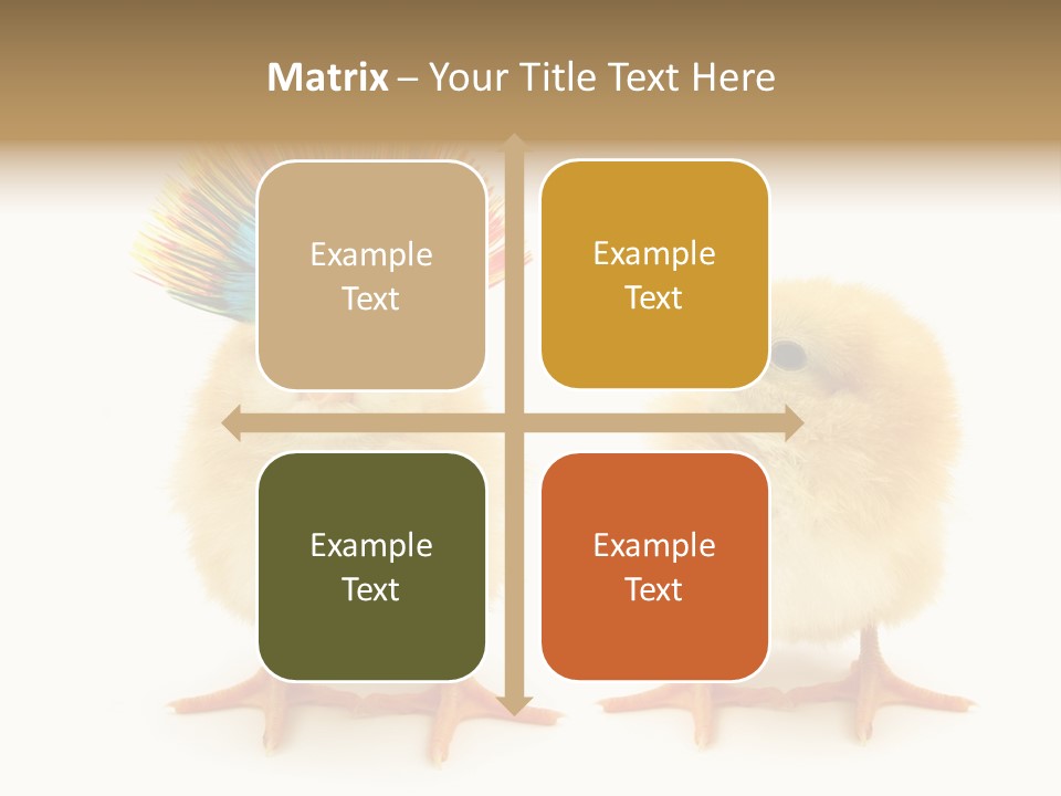 Concept Crazy Chicken Friendship PowerPoint Template