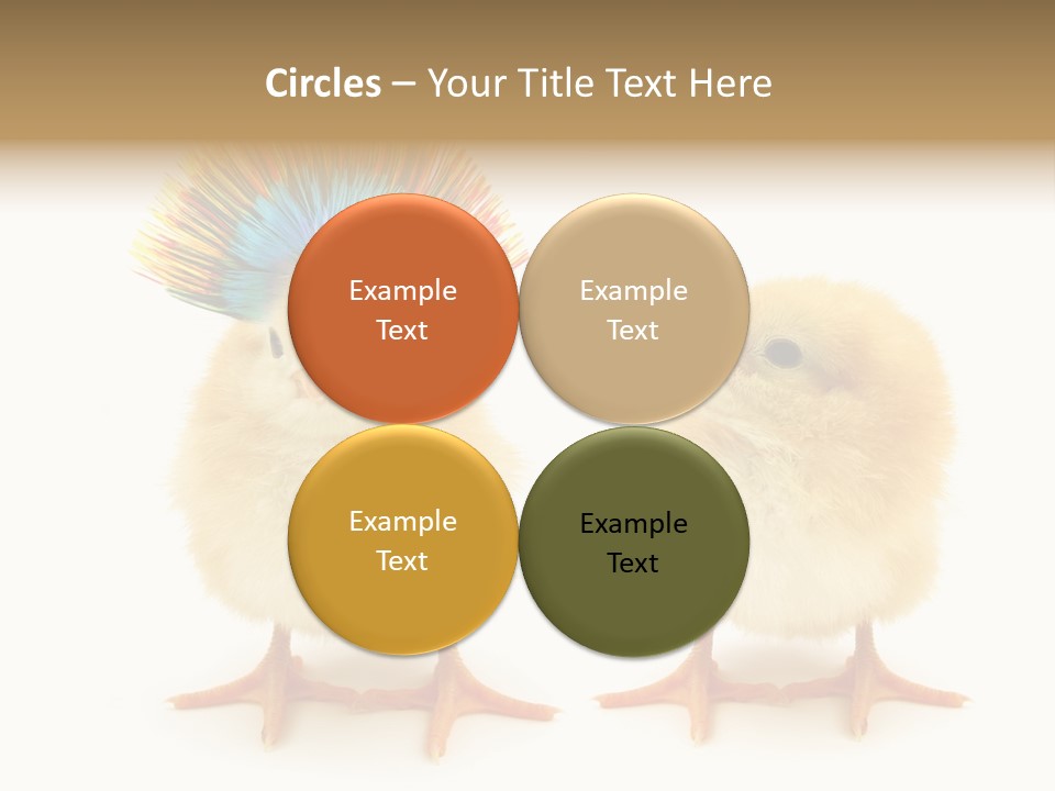 Concept Crazy Chicken Friendship PowerPoint Template