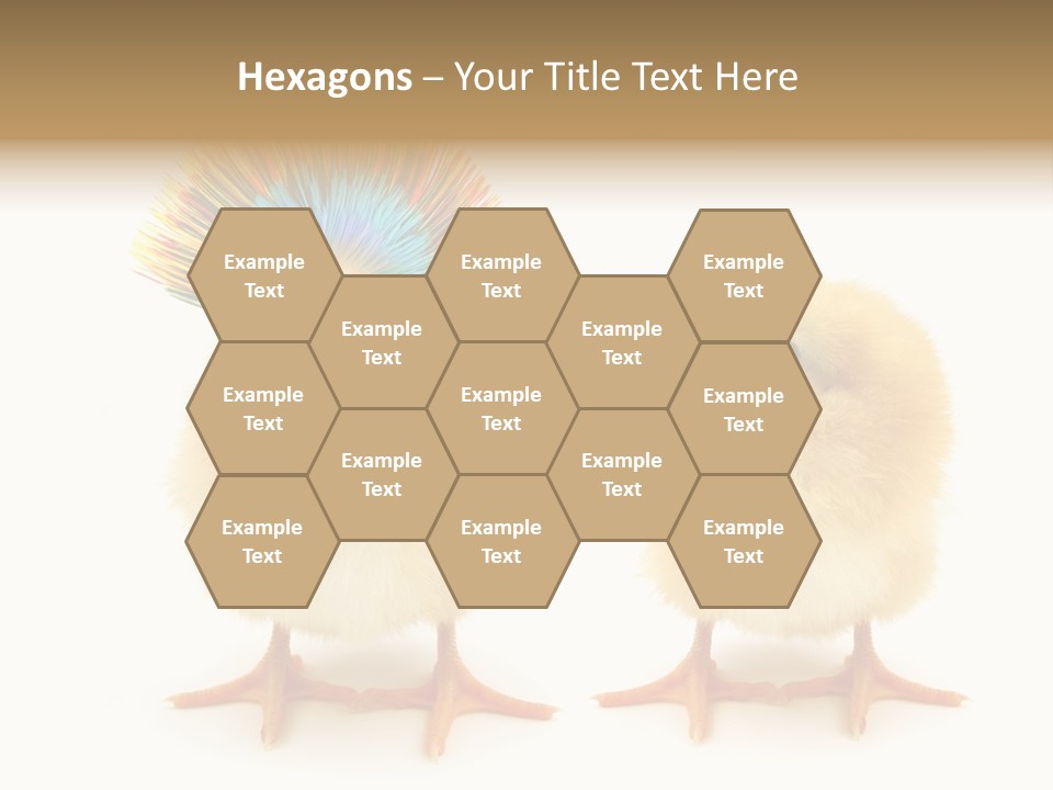 Concept Crazy Chicken Friendship PowerPoint Template