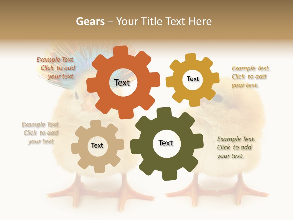 Concept Crazy Chicken Friendship PowerPoint Template