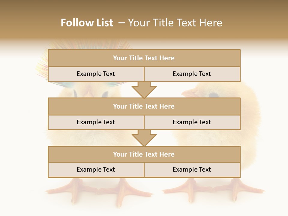 Concept Crazy Chicken Friendship PowerPoint Template