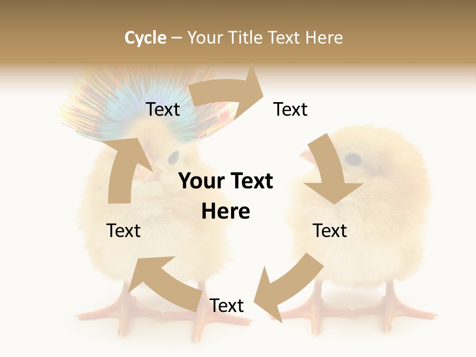 Concept Crazy Chicken Friendship PowerPoint Template