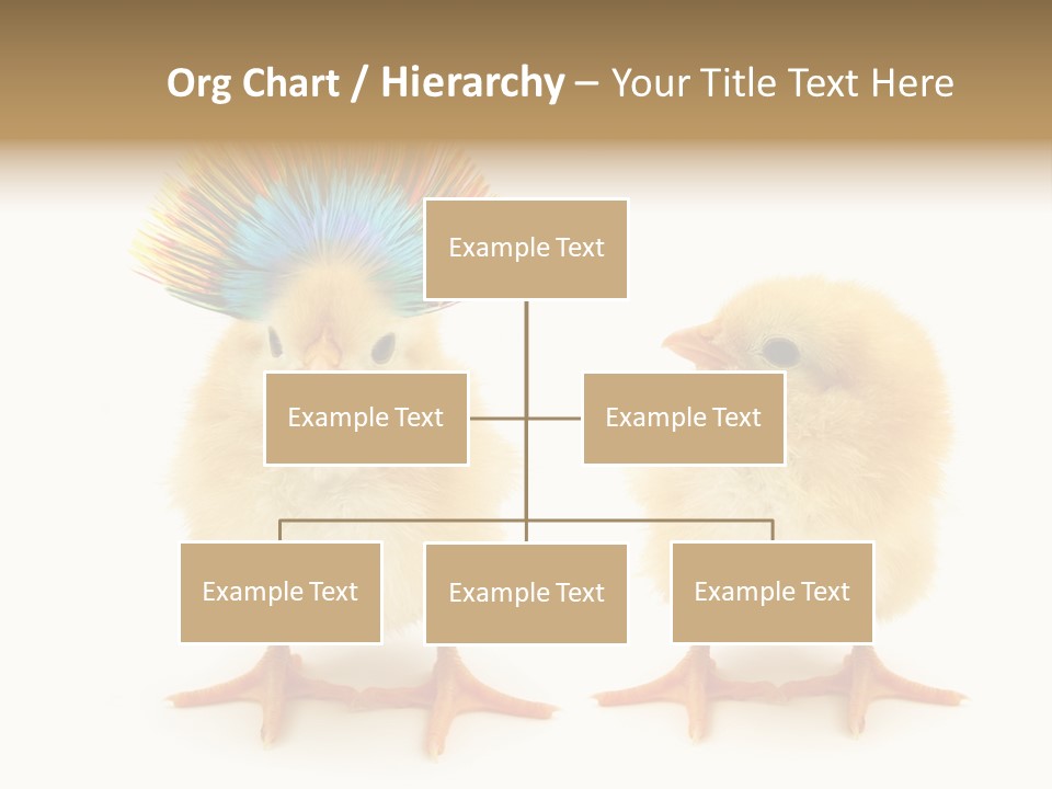 Concept Crazy Chicken Friendship PowerPoint Template