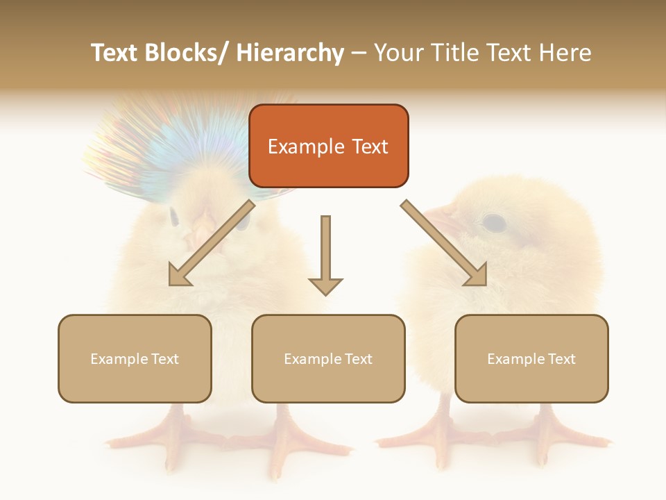 Concept Crazy Chicken Friendship PowerPoint Template