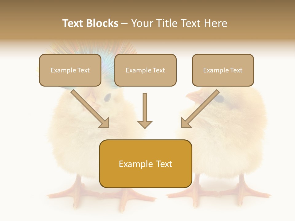 Concept Crazy Chicken Friendship PowerPoint Template