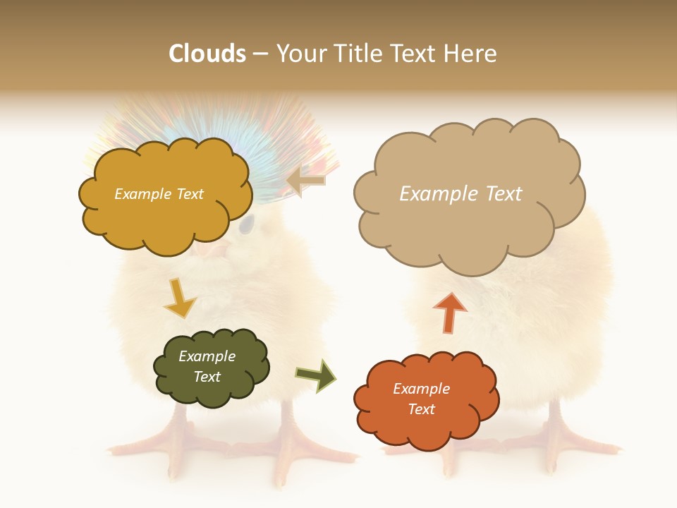 Concept Crazy Chicken Friendship PowerPoint Template