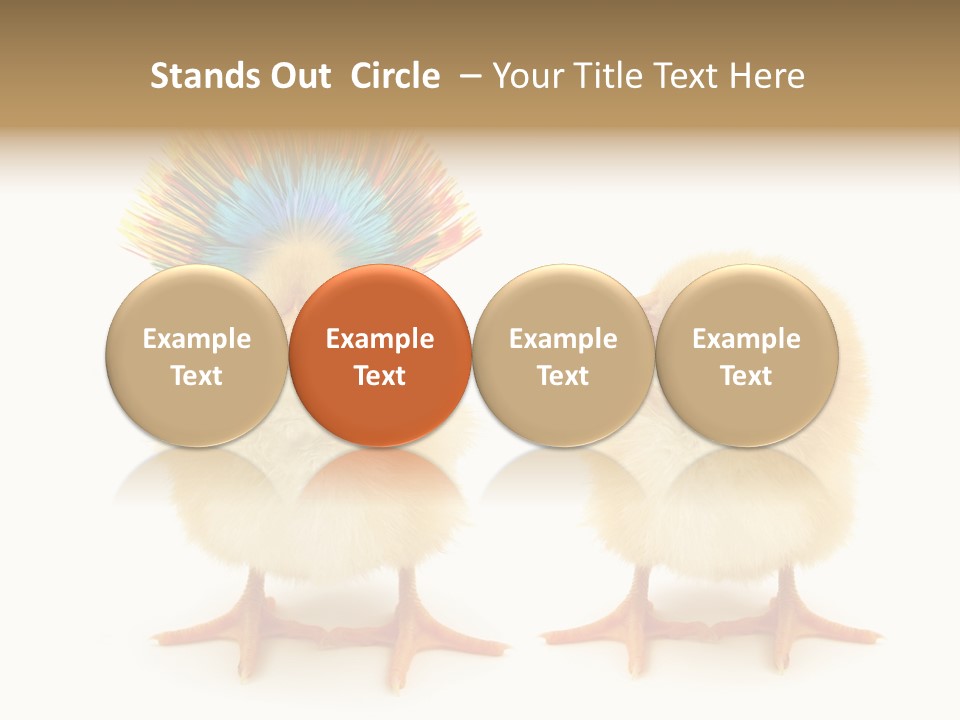 Concept Crazy Chicken Friendship PowerPoint Template
