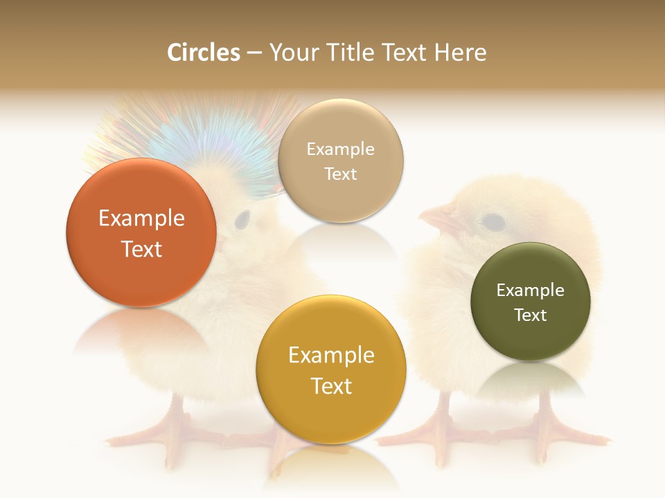 Concept Crazy Chicken Friendship PowerPoint Template