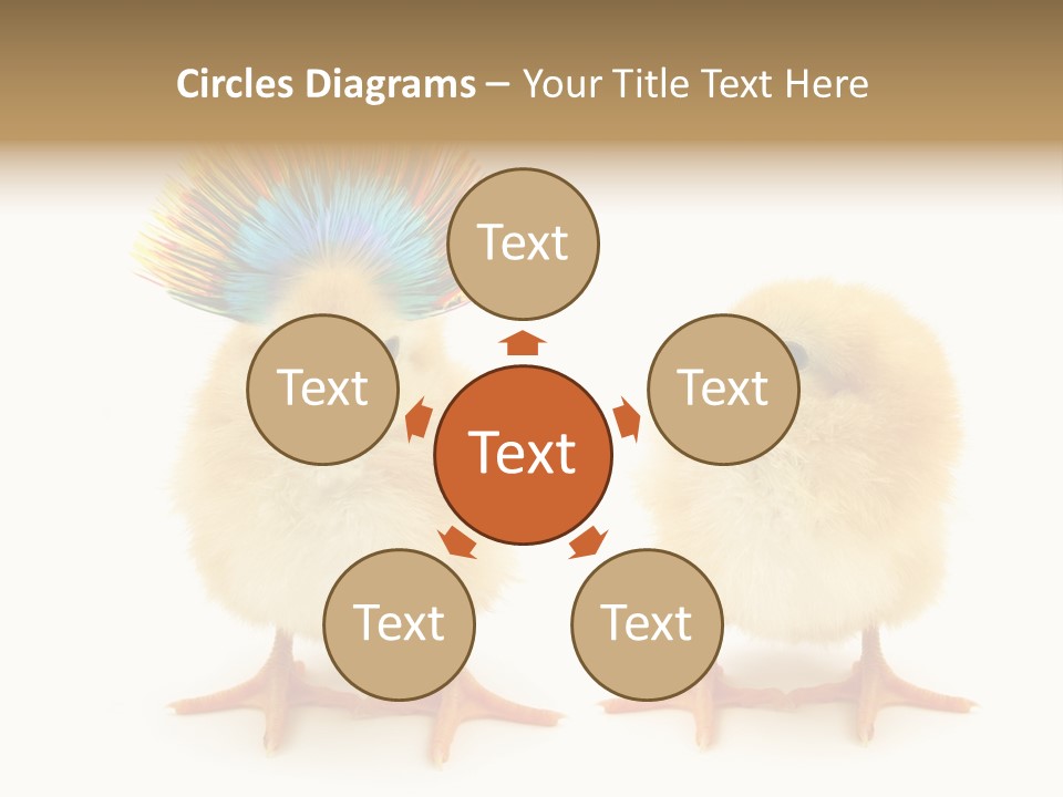 Concept Crazy Chicken Friendship PowerPoint Template