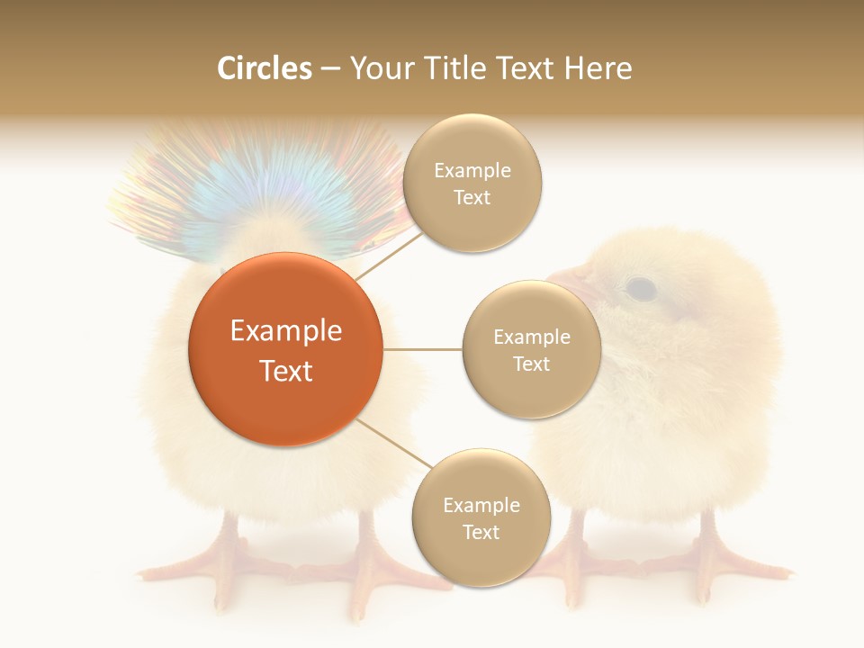 Concept Crazy Chicken Friendship PowerPoint Template